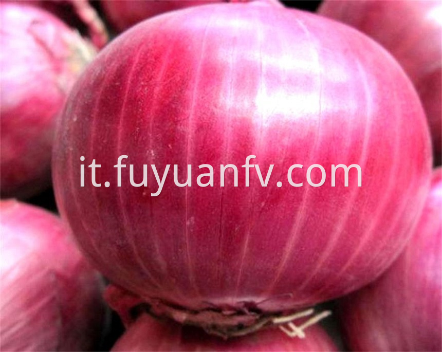 red onion